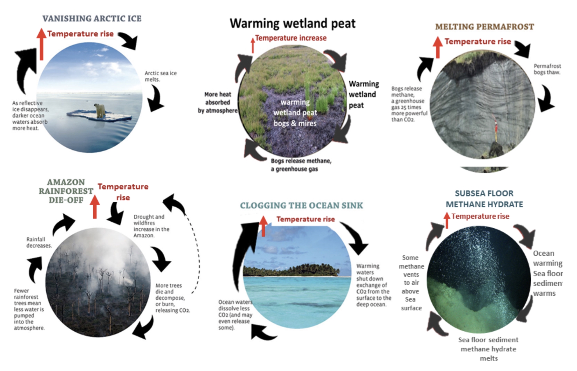 6 forstærkende feedback-loops: arktisk is, tørvemoser, permafrost, Amazonas, havet og metanhydrat