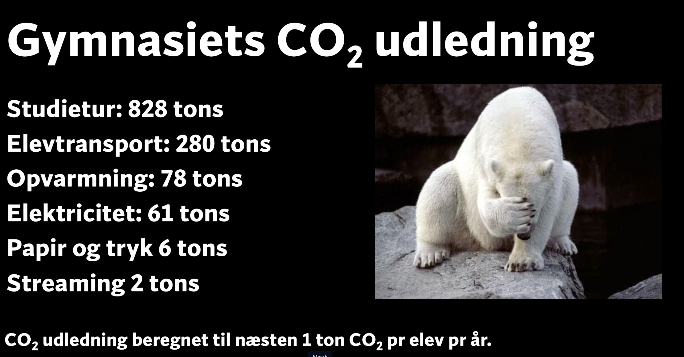 Gymnasiets CO₂-udledning med isbjørn