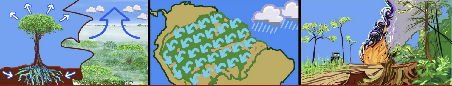 Amazonas regnskov - tipping point