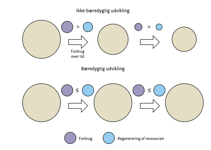 Skematisk fremstilling af bæredygtig og ikke-bæredygtig udvikling