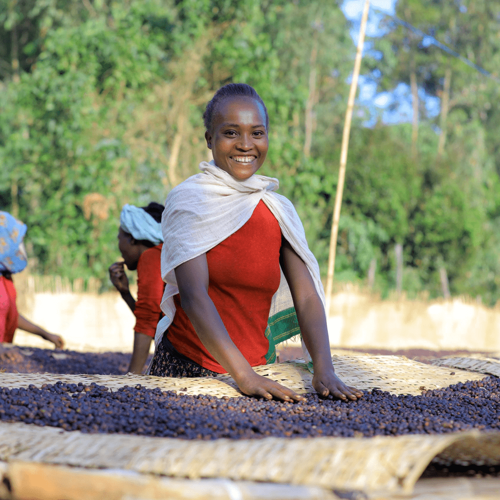 Kaffearbejdere i Etiopien