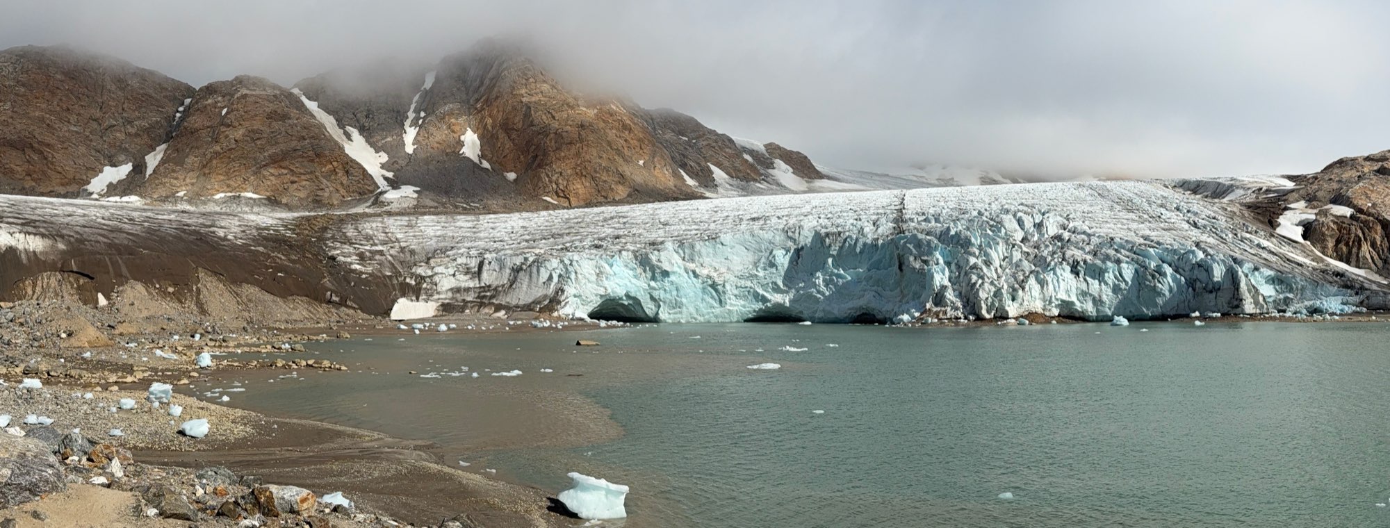 Apusiaajik-gletsjerens kalvefront møder havet, med isstykker i vandet og bjerge i tåge bagved